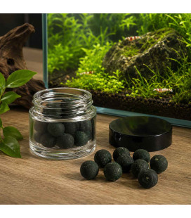 Perles de Spiruline x20 pour Crevettes d'Aquarium