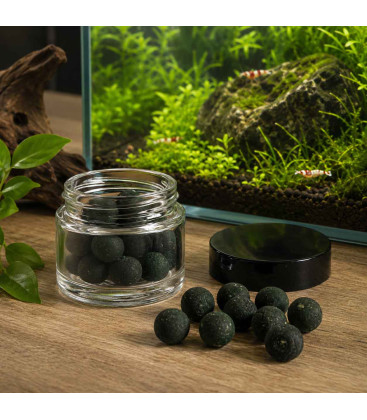 Perles de Spiruline x20 pour Crevettes d'Aquarium