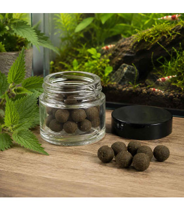 Woiby shrimp Ortie - Nourriture Crevette - x20