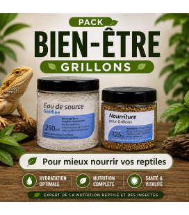 Pack Nourriture pour Insectes (Aquagel 100ml + Nourriture vit' pour insectes)