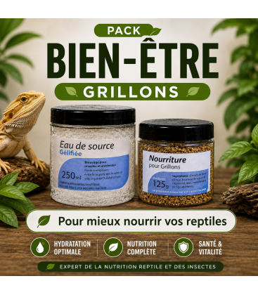 Pack Nourriture pour Insectes (Aquagel 100ml + Nourriture vit' pour insectes)