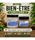 Pack Nourriture pour Insectes (Aquagel 250ml + Nourriture vit' pour insectes 125cc)