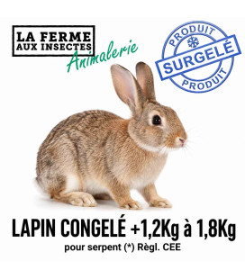 Lapin congelé +1,2Kg à 1,8Kg pour serpent (*) Règl. CEE