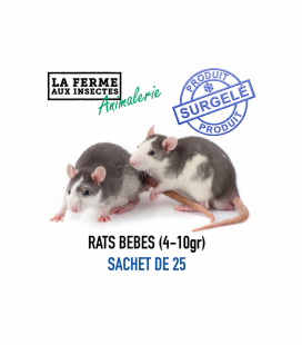 Bébés de Rats Congelés (4-10g) - Sachet de 25 | Alimentation Reptile
