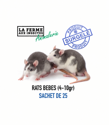 Sachet de 25 bébés de rats congelés calibre 4-10g pour jeunes reptiles