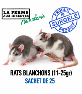 Blanchons de Rats (11-25g) - Sachet de 25 | Alimentation Reptile