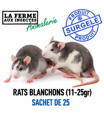 Sachet de 25 blanchons de rats congelés de 11 à 25g pour reptiles en croissance