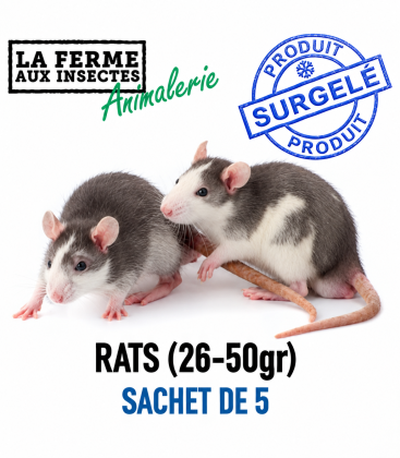 Sachet de 5 rats congelés de calibre 26 à 50g pour reptiles et serpents