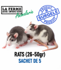 Sachet de 5 rats congelés de calibre 26 à 50g pour reptiles et serpents