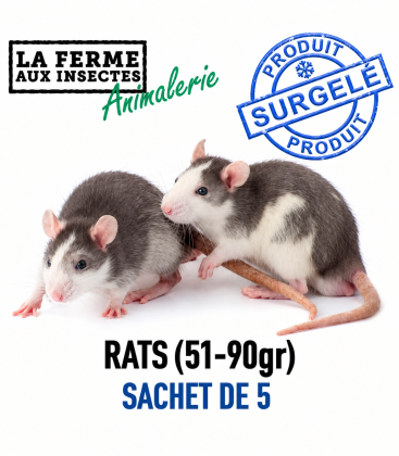 Sachet de 5 rats congelés de calibre 51 à 90g pour grands reptiles