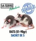 Rats Congelés (51-90g) - Sachet de 5 | Alimentation Reptile