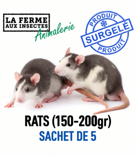 Rats Congelés (150-200g) - Sachet de 5 | Alimentation Reptile