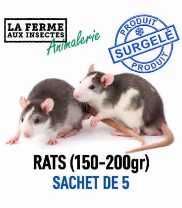 Sachet de 5 rats congelés de calibre 150 à 200g pour très grands reptiles