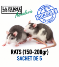 Sachet de 5 rats congelés de calibre 150 à 200g pour très grands reptiles