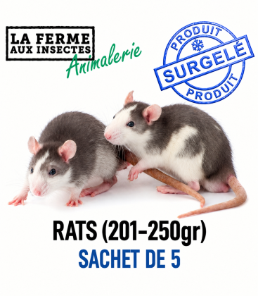 Sachet de 5 rats congelés de calibre 201 à 250g pour reptiles géants