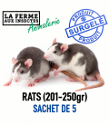 Rats Congelés (201-250g) - Sachet de 5 | Alimentation Reptile