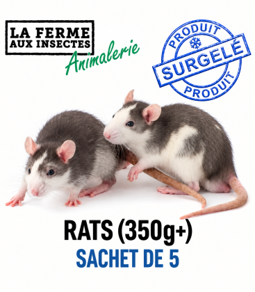 Sachet de 5 rats congelés de calibre 350g et plus pour reptiles géants et serpents XXL