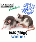 Sachet de 5 rats congelés de calibre 350g et plus pour reptiles géants et serpents XXL