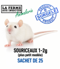 Ecopack de 25 souriceaux rosés congelés de 1 jour – 1 à 2 g