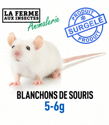 Ecopack de 25 blanchons de souris congelés de 5 à 6g pour jeunes serpents