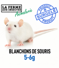 Ecopack de 25 blanchons de souris congelés de 5 à 6g pour jeunes serpents