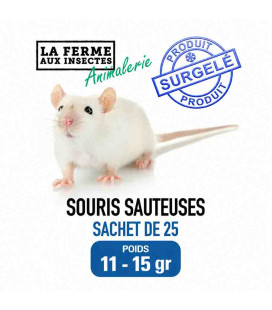 Sachet de 25 souris sauteuses surgelées 11-15g pour reptiles et NAC