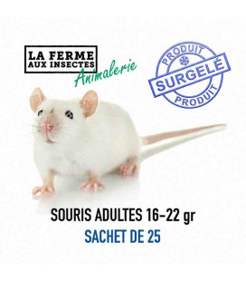 Sachet Ecopack de 25 souris adultes de 16 à 22g surgelées pour serpents et reptiles - La Ferme aux Insecte