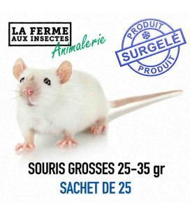 Sachet Ecopack de 25 souris congelées grosses (25-35g) pour alimentation de reptiles