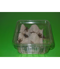 Boîte de grillons assimilis adultes T7 pour reptiles de La Ferme aux Insectes.