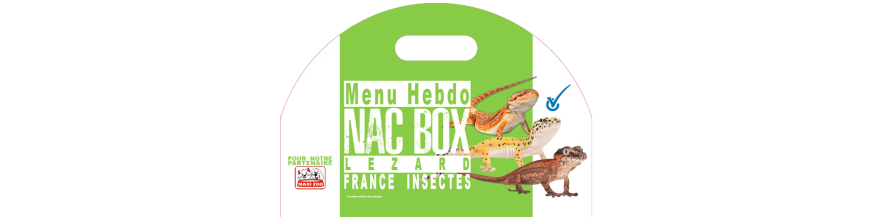 Menus Reptiles Menus Reptiles