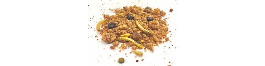 ALIMENTS LYOPHILISES