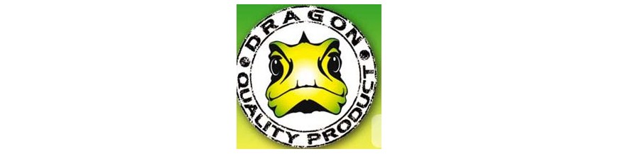 MATERIEL DRAGON