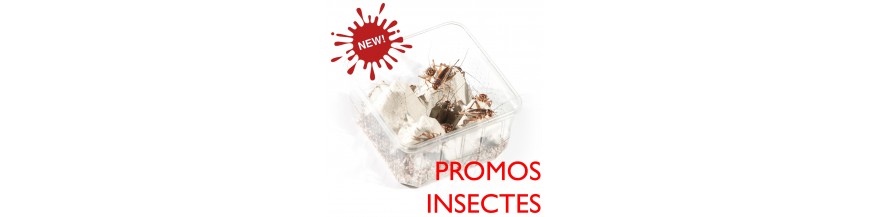 PROMOS INSECTES