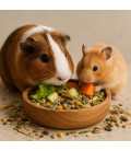 Alimentation Rongeurs