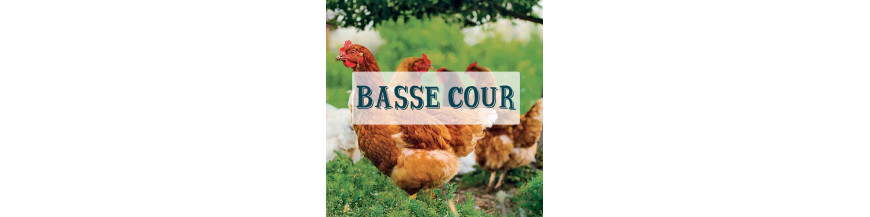 Poules & Basse cour Poules & Basse cour