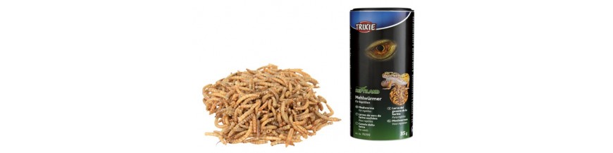 ALIMENTS SECS POUR REPTILES