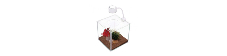 Aquarium & Accessoires