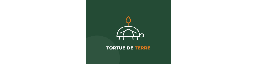Nourrir ma tortue de terre