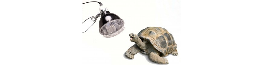 MATERIEL TORTUES
