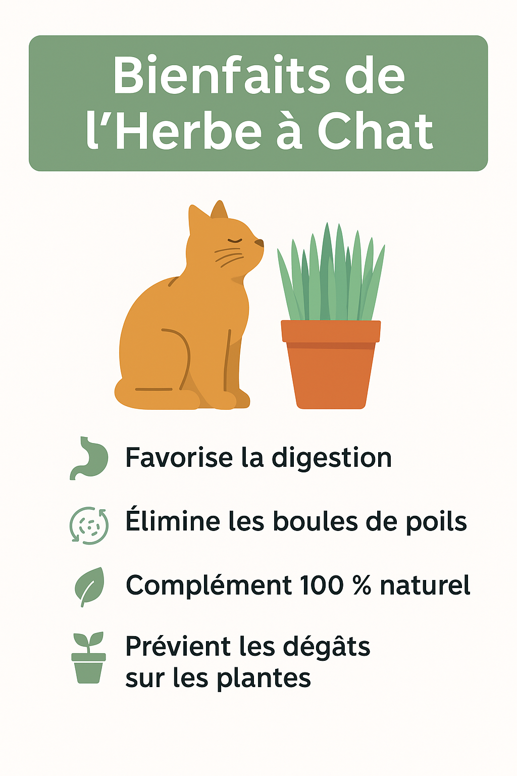 Herbe à chat digestion naturelle