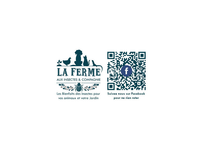 Blog LA FERME AUX INSECTES