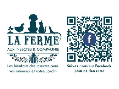 Blog LA FERME AUX INSECTES