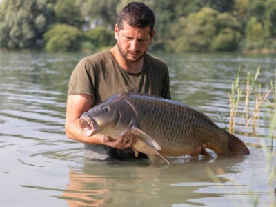 les pinkies surgel&eacute;s pour la p&ecirc;che comment les utiliser pour la carpe
