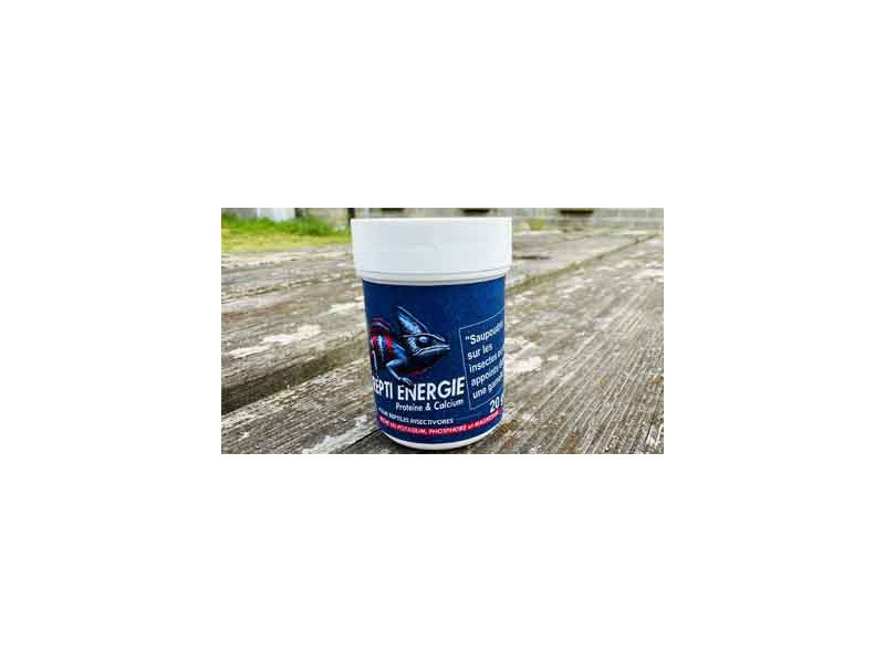 Calcium Naturel pour Pogona